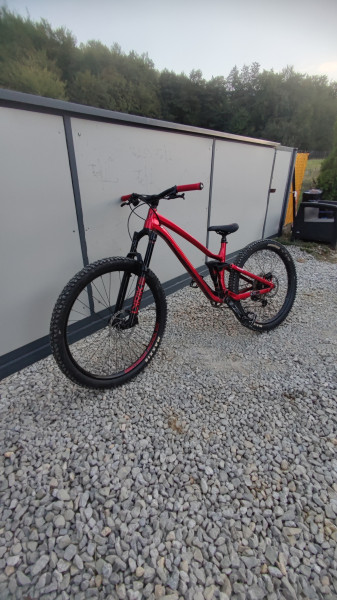 dartmoor rockbird trail evo