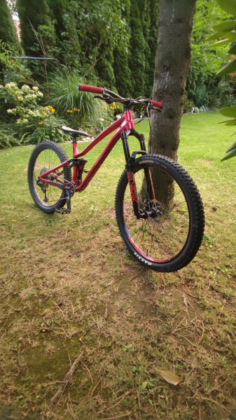 dartmoor rockbird trail evo